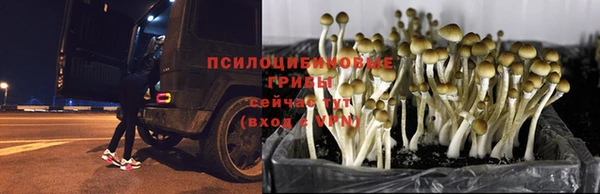 дистиллят марихуана Нязепетровск