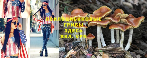 ешки Армянск