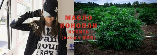 гидра Няндома